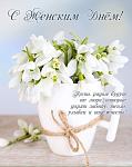     
: FB_IMG_1615208860914.jpg
: 28
:	54.4 
ID:	13459085