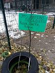     
: 20201209_144830.jpg
: 15
:	168.5 
ID:	13460404