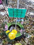     
: 20201209_144816.jpg
: 18
:	187.3 
ID:	13460405