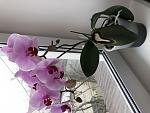     
: BEC6D008-1DAA-4481-96F7-593B9676376B.jpg
: 32
:	94.2 
ID:	13460733
