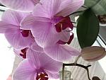     
: 683D09BE-85D0-4E63-A7D6-6FBDFA393C5A.jpg
: 35
:	73.6 
ID:	13460734