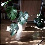     
: 20210313_170035.jpg
: 22
:	153.7 
ID:	13461000
