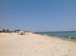     
: ImageUploadedByTapatalk1615741396.845779.jpg
: 14
:	98.4 
ID:	13461065