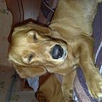     
: P_20200525_152223_vHDR_Auto.jpg
: 43
:	127.9 
ID:	13461077