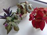     
: 20210315_152634.jpg
: 18
:	95.2 
ID:	13461355