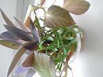     
: 20210315_154611.jpg
: 17
:	76.5 
ID:	13461362
