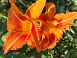     
: 20200718_105414.jpg
: 13
:	125.5 
ID:	13461799