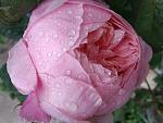     
: 2020-05-30 (14).jpg
: 9
:	106.3 
ID:	13462423