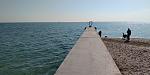     
: P_20210321_095029.jpg
: 11
:	130.0 
ID:	13462891