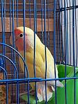     
: 163063536_967426746996791_8556275027932080844_n.jpg
: 30
:	136.2 
ID:	13463063