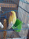     
: 163178703_791003314855755_1707445837869463197_n.jpg
: 36
:	169.1 
ID:	13463064