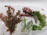     
: IMG_20210329_224442.jpg
: 48
:	153.4 
ID:	13465986