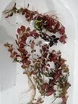     
: IMG_20210329_222531.jpg
: 48
:	93.3 
ID:	13465991