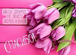     
: 1488373223_025.jpg
: 29
:	261.9 
ID:	13468135