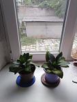     
: IMG_20190711_175632.jpg
: 16
:	80.0 
ID:	13468326