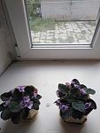     
: IMG_20190711_175700.jpg
: 16
:	84.8 
ID:	13468327
