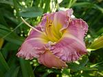     
: Sdlg 1620 .jpg
: 10
:	97.3 
ID:	13469031