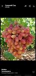     
: IMG-218fd14c270ad5dc85a3f645b5ca464e-V.jpg
: 6
:	56.0 
ID:	13469637