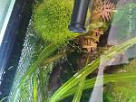     
: IMG_20210410_143104.jpg
: 28
:	165.3 
ID:	13470288