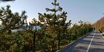     
: P_20210411_065616.jpg
: 14
:	168.7 
ID:	13470419