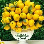     
: 5874841bca2cc16e74cdd393f3ecfd9e.jpg
: 16
:	110.8 
ID:	13470503