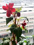     
: P10412-102314.jpg
: 71
:	102.5 
ID:	13471140