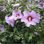     
: 993EA55E-848F-4AF2-827C-8AC98EC616A7.jpg
: 8
:	101.5 
ID:	13472602