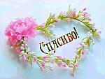     
: c23b447661643bb5ea3a32762596cae6.jpg
: 10
:	78.4 
ID:	13472978