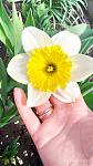     
: IMG_20210417_144356.jpg
: 7
:	69.5 
ID:	13473544