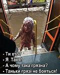     
: 2019-03-01_18-39-51_146417-gadzzilla.org.jpg
: 10
:	93.2 
ID:	13473634