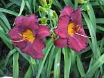     
: IMG_2666.jpg
: 8
:	156.3 
ID:	13473637
