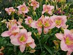     
: P1560005.jpg
: 10
:	171.5 
ID:	13473642