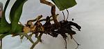     
: 20210421_180914.jpg
: 27
:	65.5 
ID:	13473990