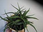     
: IMG_1512.jpg
: 43
:	113.0 
ID:	13474630