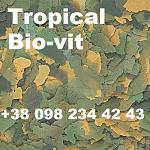     
: Tropical Bio-vit+.jpg
: 11
:	161.0 
ID:	13475157