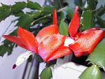     
: 20210430_111929.jpg
: 10
:	149.5 
ID:	13476186