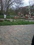     
: 1209.jpg
: 10
:	182.0 
ID:	13476386