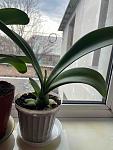     
: IMG_2504.jpg
: 10
:	84.7 
ID:	13476512