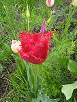     
: IMG_20210502_094009_1[1].jpg
: 6
:	204.1 
ID:	13476532