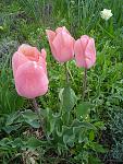     
: IMG_20210502_094034_1[1].jpg
: 7
:	171.7 
ID:	13476536