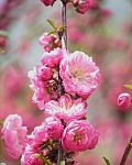     
: widen_414_q90_929381_ad60fa50af.jpeg
: 19
:	57.0 
ID:	13476697