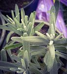     
: PSX_20210502_235103.jpg
: 10
:	112.9 
ID:	13477313