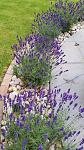     
: c7799fa8cb2eff2cb80bc48655214a74.jpg
: 5
:	146.4 
ID:	13477450