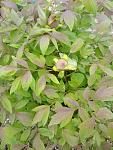     
: IMG_20210511_085534.jpg
: 3
:	115.9 
ID:	13478736