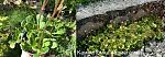     
: 9C692465-CAF8-4995-B8B6-BB09CB3A787D.jpg
: 7
:	104.3 
ID:	13479430