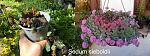     
: 9F63804E-ADE8-4AB1-ADB4-19C0BB9D7C98.jpg
: 6
:	90.7 
ID:	13479432