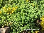     
: D3541736-F688-4DDE-9C06-376016FA4341.jpg
: 7
:	209.2 
ID:	13479434