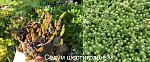    
: 352D4A05-E0BE-48FC-922B-96E2DB467D93.jpg
: 7
:	119.6 
ID:	13479436