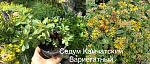     
: 74E5A9DC-0EF5-476C-BA02-16F0A378EE92.jpg
: 7
:	134.3 
ID:	13479438