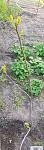     
: 20210515_133549.jpg
: 2
:	94.9 
ID:	13479927